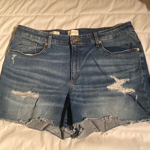Womens 16w distressed shorts
